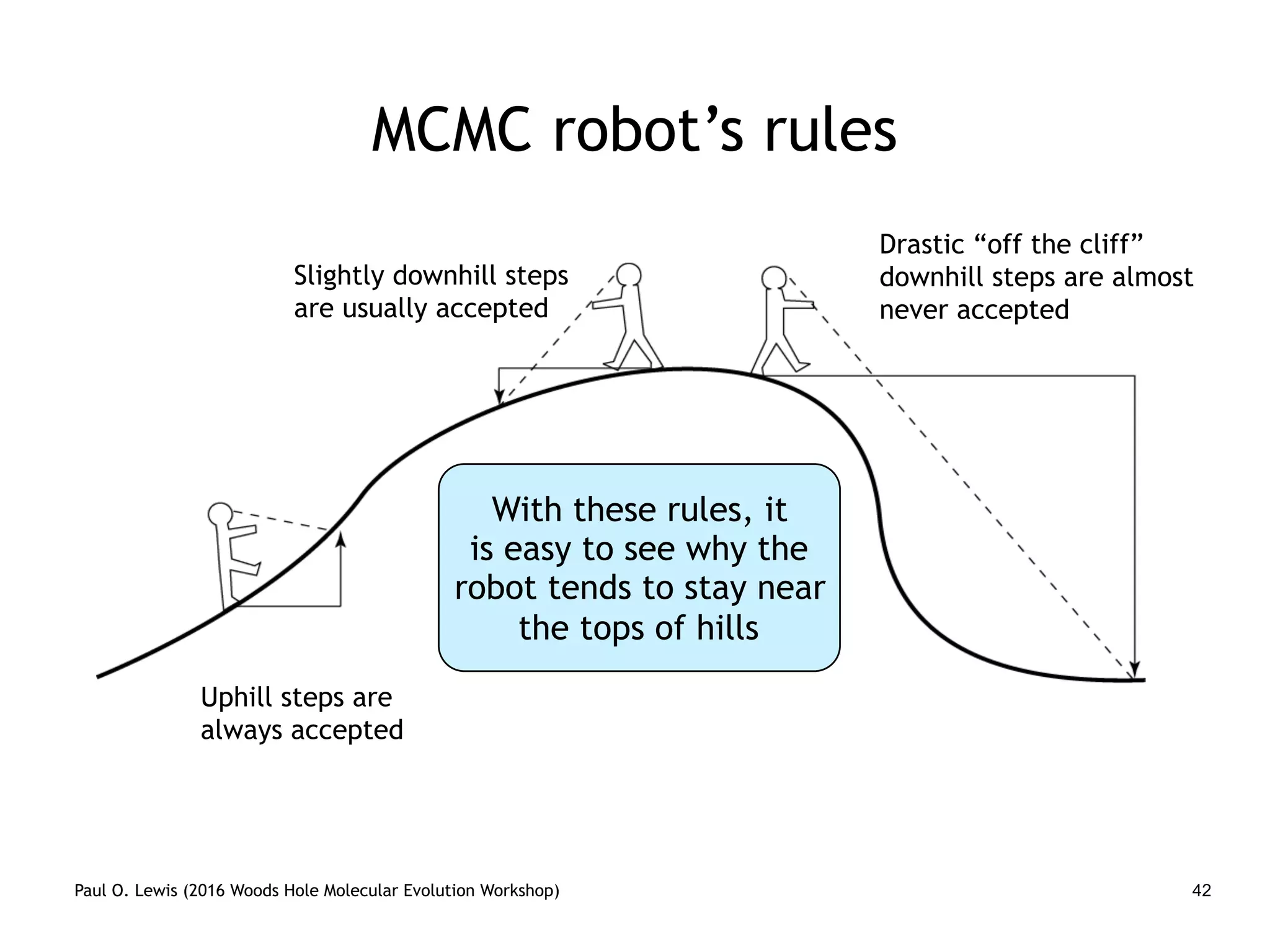 Paul O. Lewis (2016 Woods Hole Molecular Evolution Workshop) 42
MCMC robot’s rules
Uphill steps are
always accepted
Slightly downhill steps
are usually accepted
Drastic “off the cliff”
downhill steps are almost
never accepted
With these rules, it
is easy to see why the
robot tends to stay near
the tops of hills
 