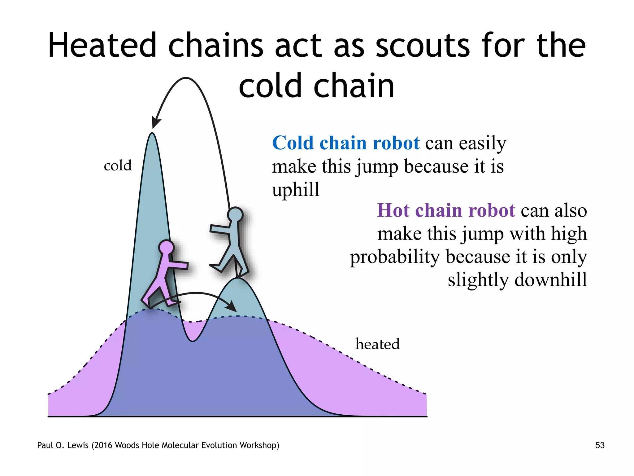 Paul O. Lewis (2016 Woods Hole Molecular Evolution Workshop)
Heated chains act as scouts for the
cold chain
53
cold
heated
Cold chain robot can easily
make this jump because it is
uphill
Hot chain robot can also
make this jump with high
probability because it is only
slightly downhill
 