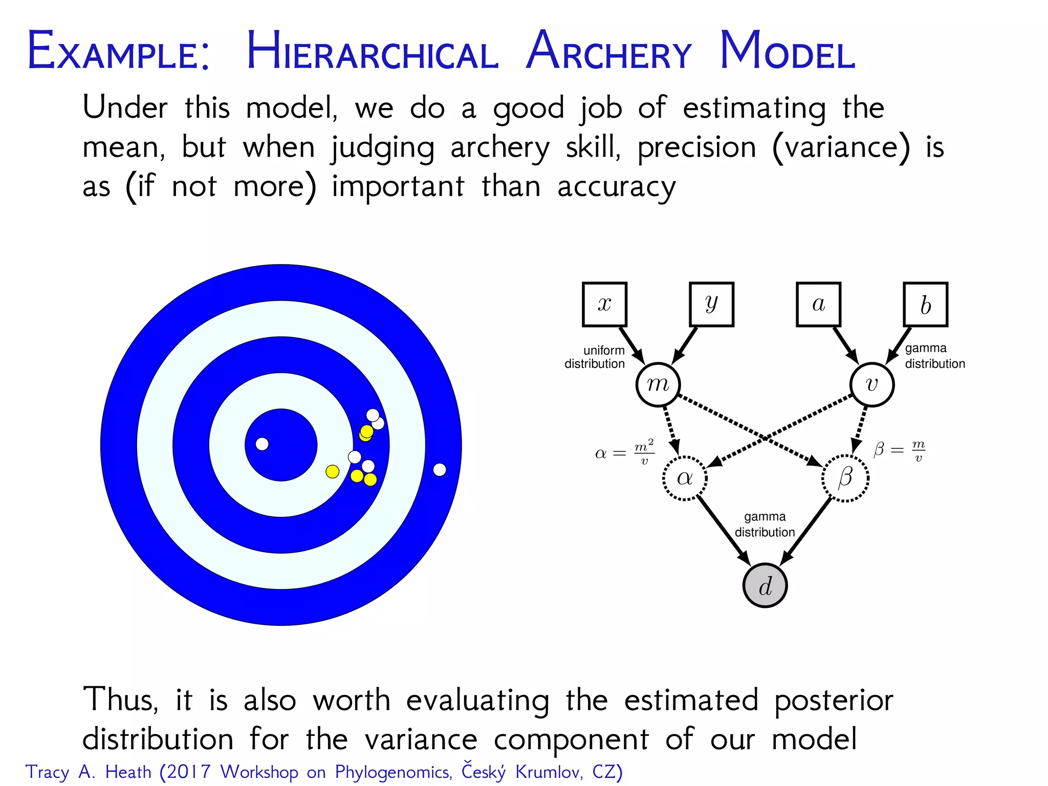 E: H A M
Under this model, we do a good job of estimating the
mean, but when judging archery skill, precision (variance) is
as (if not more) important than accuracy
q
q
qq
q
q
q
q q
qqq
q
d
α β
gamma
distribution
m v
β = m
vα = m2
v
x y a b
uniform
distribution
gamma
distribution
Thus, it is also worth evaluating the estimated posterior
distribution for the variance component of our model
Tracy A. Heath (2017 Workshop on Phylogenomics, Český Krumlov, CZ)
 