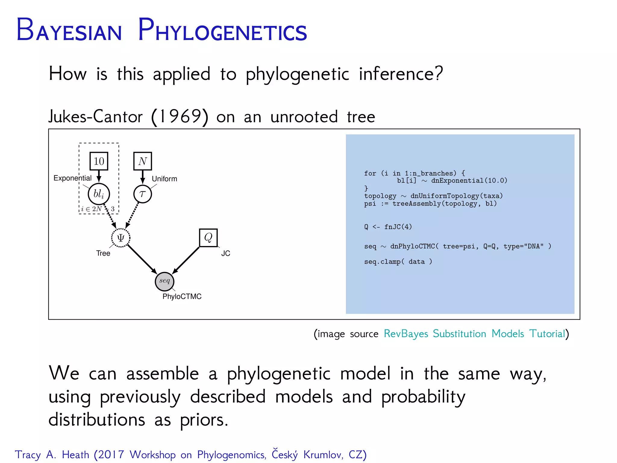 B P
How is this applied to phylogenetic inference?
Jukes-Cantor (1969) on an unrooted tree
seq
PhyloCTMC
Q
JCTree
bli ⌧
Exponential Uniform
10 N
i 2 2N 3
for (i in 1:n_branches) {
bl[i] ⇠ dnExponential(10.0)
}
topology ⇠ dnUniformTopology(taxa)
psi := treeAssembly(topology, bl)
Q <- fnJC(4)
seq ⇠ dnPhyloCTMC( tree=psi, Q=Q, type="DNA" )
seq.clamp( data )
(image source RevBayes Substitution Models Tutorial)
We can assemble a phylogenetic model in the same way,
using previously described models and probability
distributions as priors.
Tracy A. Heath (2017 Workshop on Phylogenomics, Český Krumlov, CZ)
 