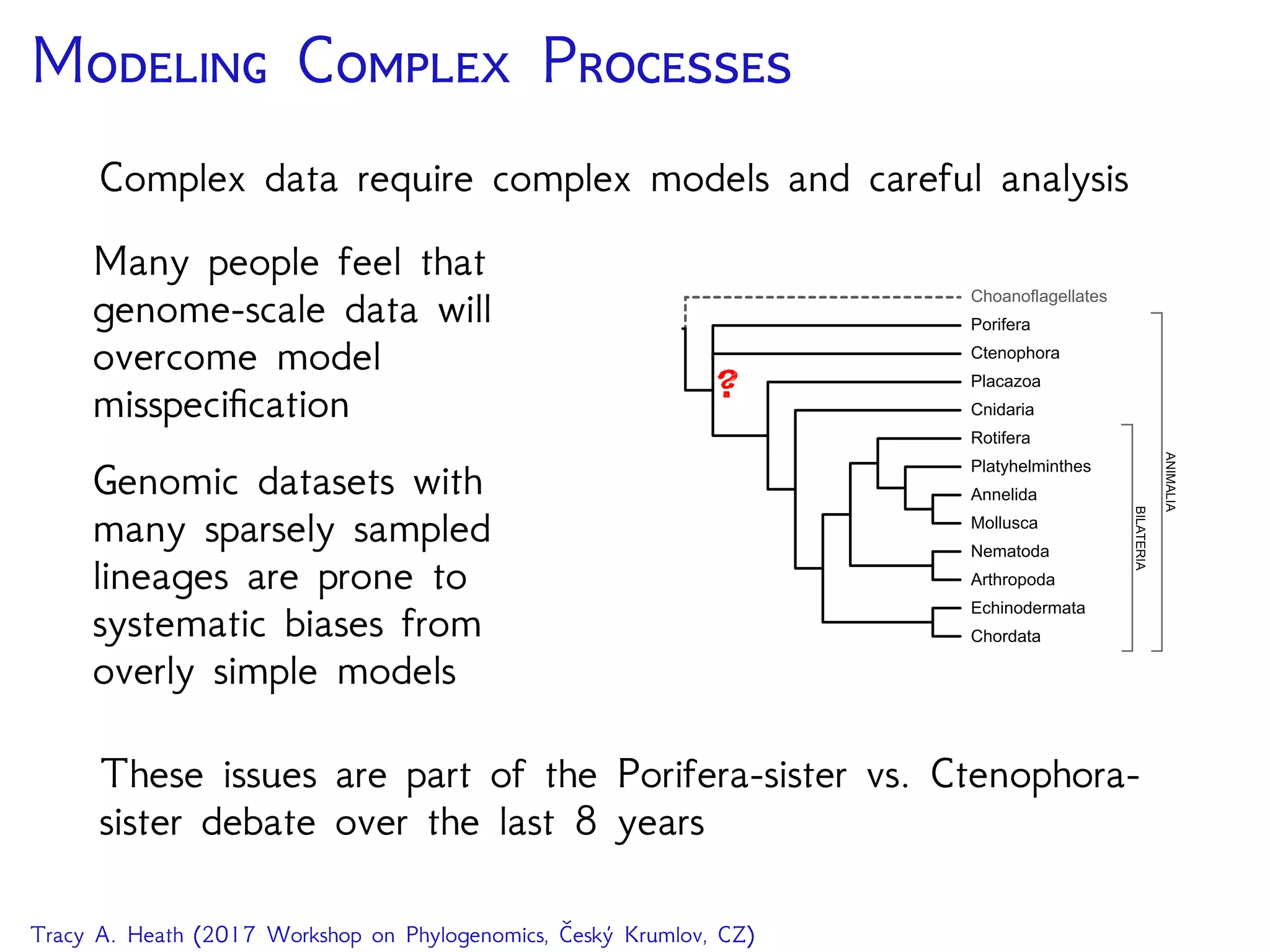 M C P
Complex data require complex models and careful analysis
Many people feel that
genome-scale data will
overcome model
misspeciﬁcation
Genomic datasets with
many sparsely sampled
lineages are prone to
systematic biases from
overly simple models
Choanoflagellates
Porifera
Ctenophora
Placazoa
Cnidaria
Rotifera
Platyhelminthes
Annelida
Mollusca
Nematoda
Arthropoda
Echinodermata
Chordata
ANIMALIA
BILATERIA
?
These issues are part of the Porifera-sister vs. Ctenophora-
sister debate over the last 8 years
Tracy A. Heath (2017 Workshop on Phylogenomics, Český Krumlov, CZ)
 