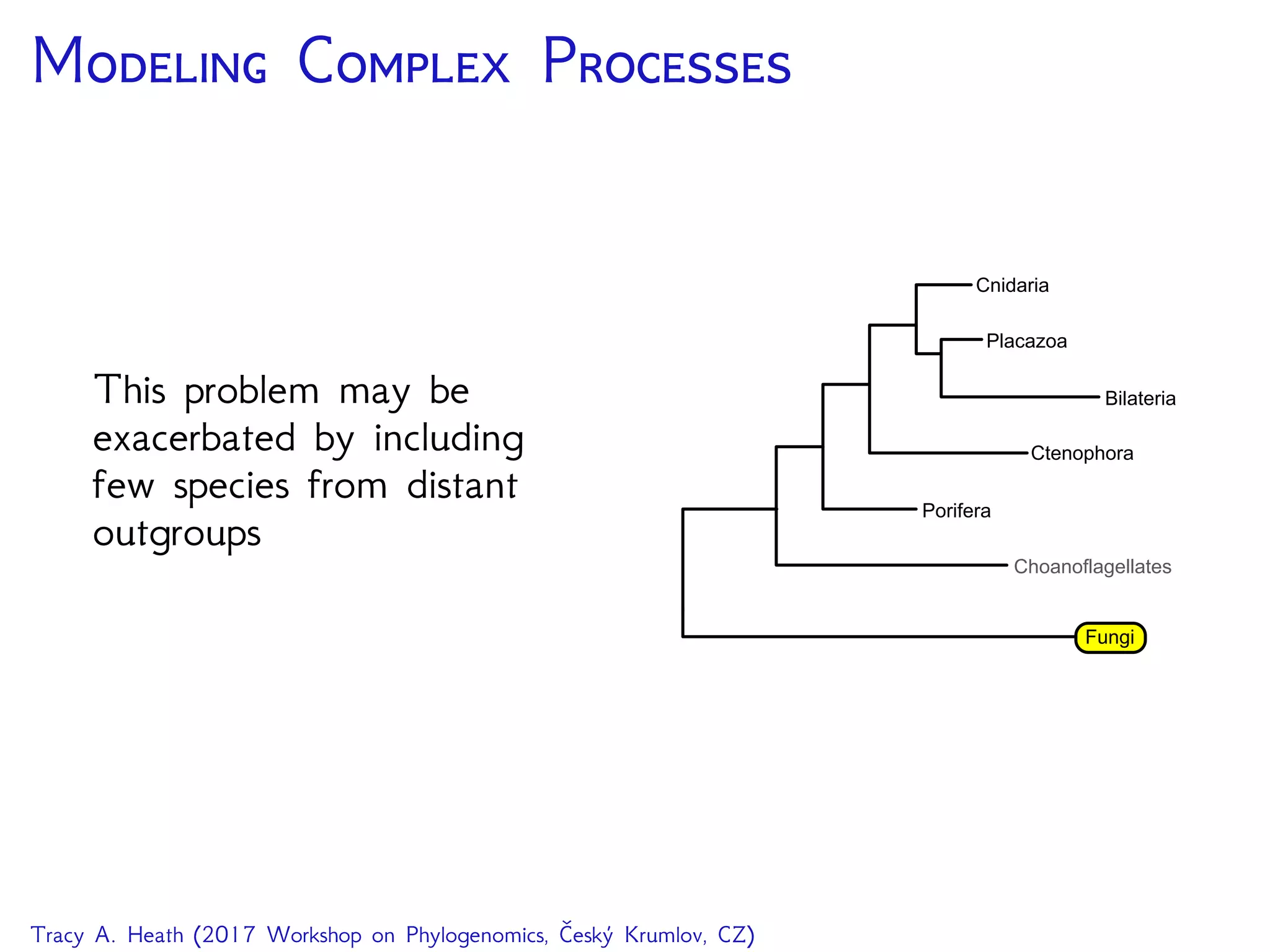 M C P
This problem may be
exacerbated by including
few species from distant
outgroups
Choanoflagellates
Porifera
Ctenophora
Placazoa
Cnidaria
Bilateria
Fungi
Tracy A. Heath (2017 Workshop on Phylogenomics, Český Krumlov, CZ)
 