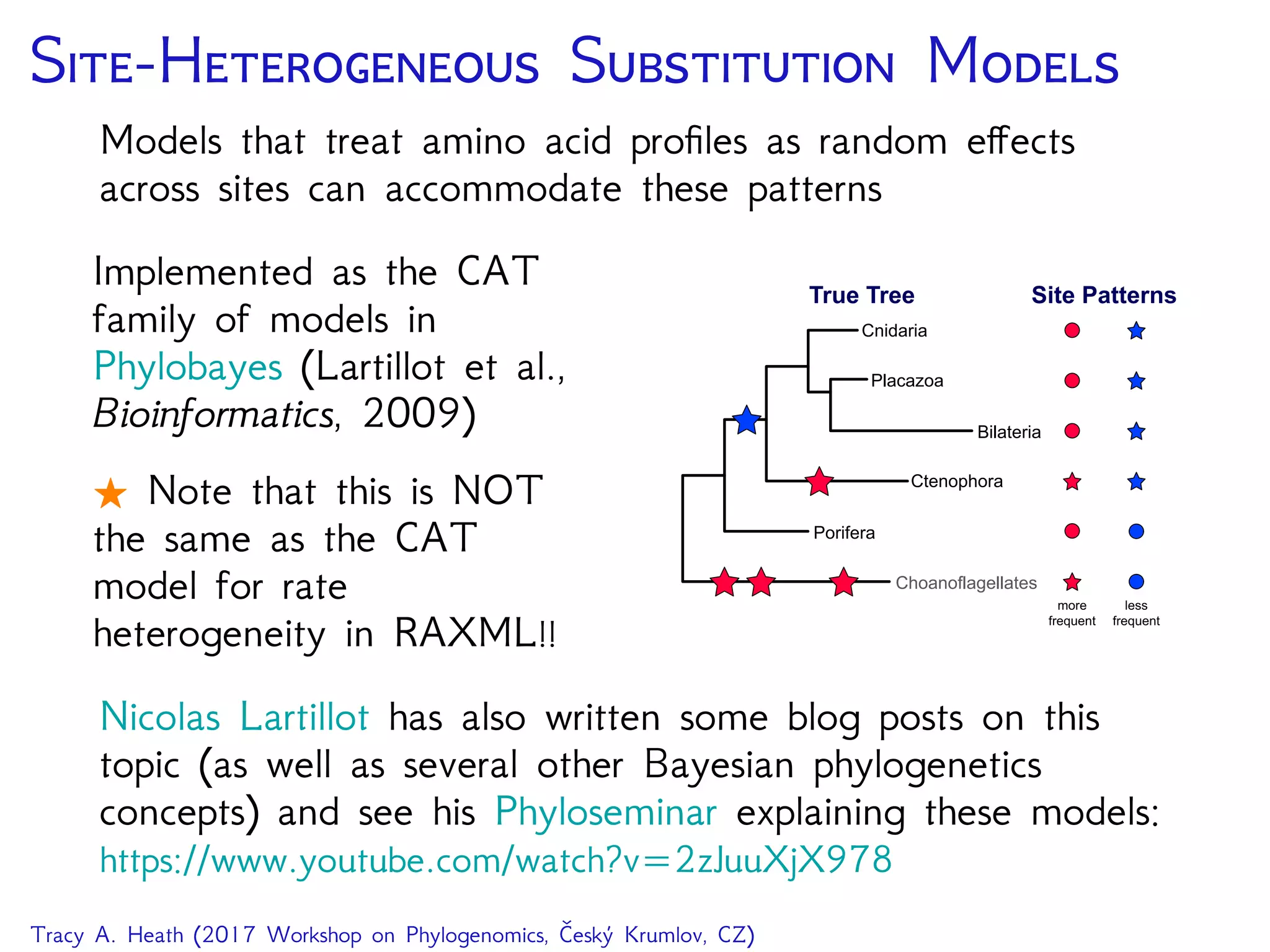 S-H S M
Models that treat amino acid proﬁles as random eﬀects
across sites can accommodate these patterns
Implemented as the CAT
family of models in
Phylobayes (Lartillot et al.,
Bioinformatics, 2009)
Note that this is NOT
the same as the CAT
model for rate
heterogeneity in RAXML!!
Choanoflagellates
Porifera
Ctenophora
Placazoa
Cnidaria
Bilateria
Site Patterns
more
frequent
less
frequent
True Tree
Nicolas Lartillot has also written some blog posts on this
topic (as well as several other Bayesian phylogenetics
concepts) and see his Phyloseminar explaining these models:
https://www.youtube.com/watch?v 2zJuuXjX978
Tracy A. Heath (2017 Workshop on Phylogenomics, Český Krumlov, CZ)
 