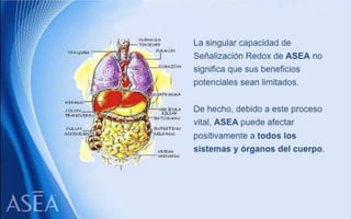 ASEA - EL MILAGRO DE LAS MOLÉCULAS DE SEÑALIZACIÓN REDOX