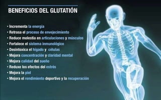 ASEA - EL MILAGRO DE LAS MOLÉCULAS DE SEÑALIZACIÓN REDOX