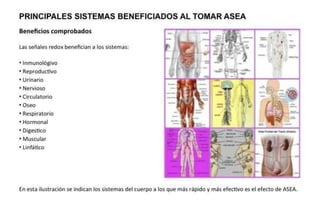 ASEA - EL MILAGRO DE LAS MOLÉCULAS DE SEÑALIZACIÓN REDOX