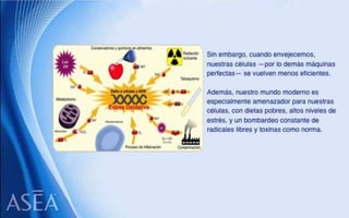 ASEA - EL MILAGRO DE LAS MOLÉCULAS DE SEÑALIZACIÓN REDOX