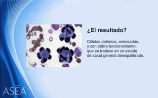 ASEA - EL MILAGRO DE LAS MOLÉCULAS DE SEÑALIZACIÓN REDOX