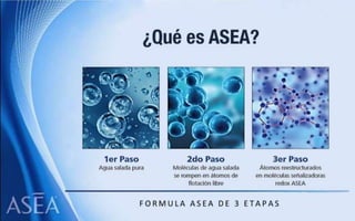 ASEA - EL MILAGRO DE LAS MOLÉCULAS DE SEÑALIZACIÓN REDOX