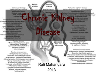 Chronic Kidney
Disease
Rafi Mahandaru
2013
 