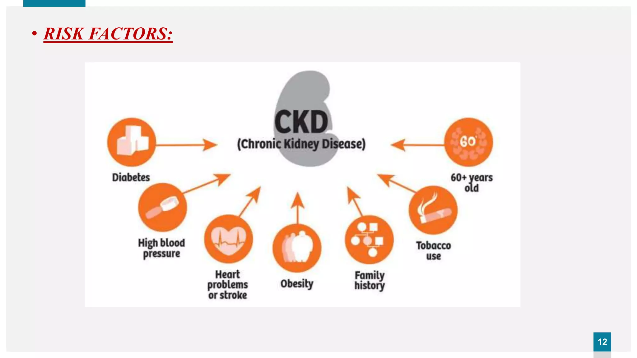 CKD (Chronic Kidney Disease) | PPTX