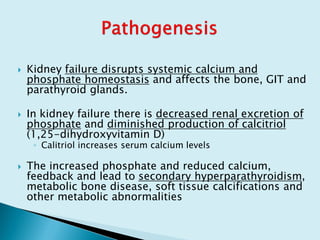 Kidney failure disrupts systemic calcium and
phosphate homeostasis and affects the bone, GIT and
parathyroid glands.
 In kidney failure there is decreased renal excretion of
phosphate and diminished production of calcitriol
(1,25-dihydroxyvitamin D)
◦ Calitriol increases serum calcium levels
 The increased phosphate and reduced calcium,
feedback and lead to secondary hyperparathyroidism,
metabolic bone disease, soft tissue calcifications and
other metabolic abnormalities
 