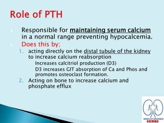  Responsible for maintaining serum calcium
in a normal range preventing hypocalcemia.
 Does this by;
1. acting directly on the distal tubule of the kidney
to increase calcium reabsorption
– Increases calcitriol production (D3)
– D3 increases GIT absorption of Ca and Phos and
promotes osteoclast formation.
2. Acting on bone to increase calcium and
phosphate efflux
 