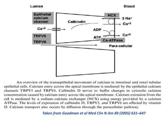 Taken from Goodman et al Med Clin N Am 89 (2005) 631–647
 