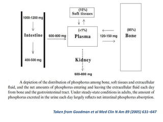 Taken from Goodman et al Med Clin N Am 89 (2005) 631–647
 