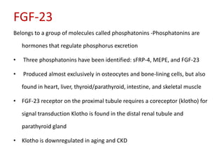 FGF-23
Belongs to a group of molecules called phosphatonins -Phosphatonins are

    hormones that regulate phosphorus excretion

•   Three phosphatonins have been identified: sFRP-4, MEPE, and FGF-23

•   Produced almost exclusively in osteocytes and bone-lining cells, but also

    found in heart, liver, thyroid/parathyroid, intestine, and skeletal muscle

• FGF-23 receptor on the proximal tubule requires a coreceptor (klotho) for

    signal transduction Klotho is found in the distal renal tubule and

    parathyroid gland

• Klotho is downregulated in aging and CKD
 