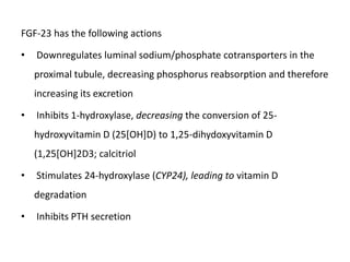 FGF-23 has the following actions

•   Downregulates luminal sodium/phosphate cotransporters in the
    proximal tubule, decreasing phosphorus reabsorption and therefore
    increasing its excretion

•   Inhibits 1-hydroxylase, decreasing the conversion of 25-
    hydroxyvitamin D (25[OH]D) to 1,25-dihydoxyvitamin D
    (1,25[OH]2D3; calcitriol

•   Stimulates 24-hydroxylase (CYP24), leading to vitamin D
    degradation

•   Inhibits PTH secretion
 