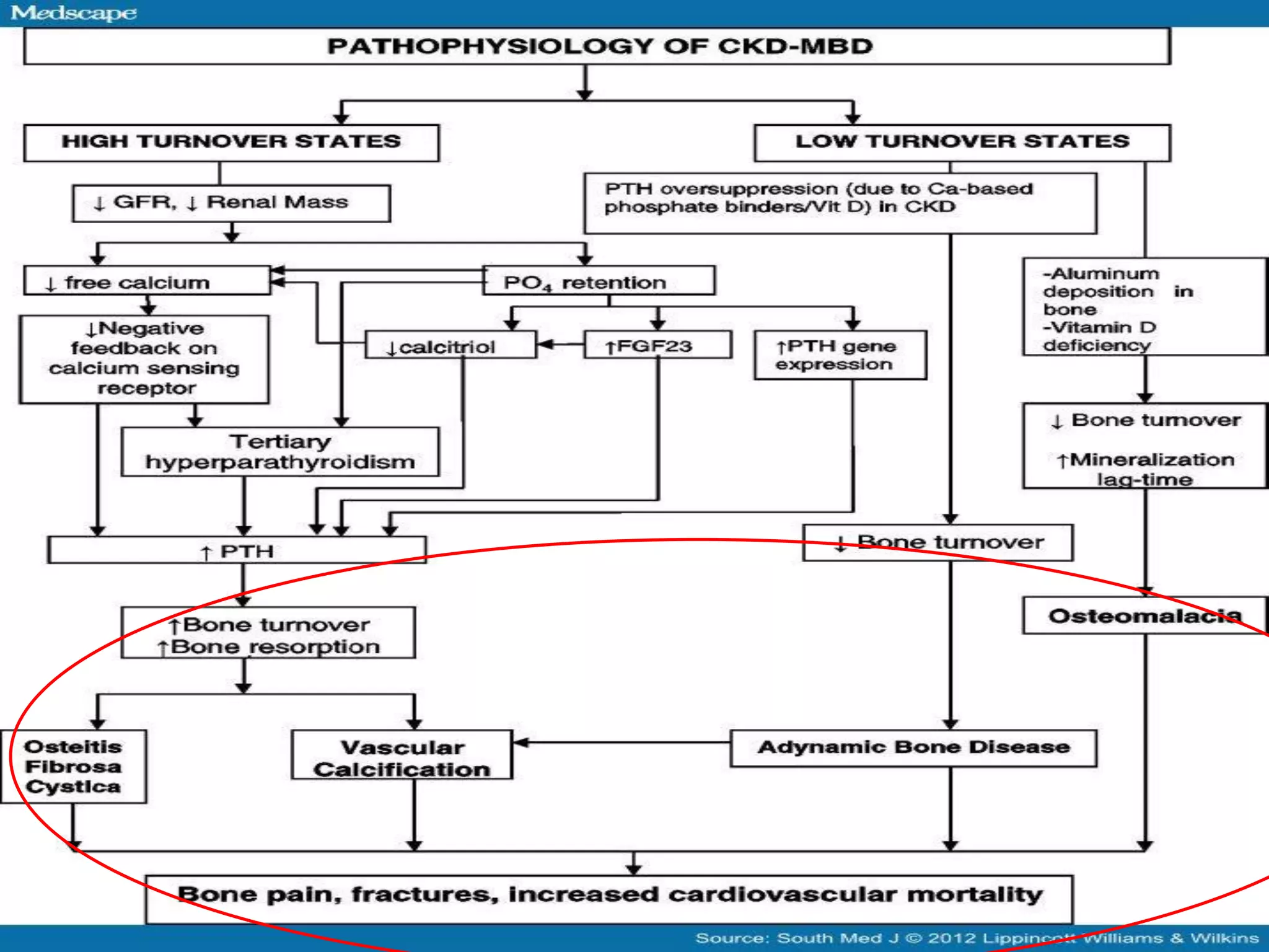 Chronic Kidney Disease-Mineral Bone Disease | PDF