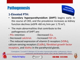 Pathogenesis
Waleed El-Refaey CKD-MBD 21/2/2016
1-Elevated PTH:
• Secondary hyperparathyroidism (SHPT) begins early in
the course of CKD, and the prevalence increases as kidney
function declines (eGFR <60 mL/min per 1.73 m2).
• The main abnormalities that contribute to the
pathogenesis of SHPT are:
- PO4 retention - Decreased iCa.
- Decreased calcitriol. - Increased FGF-23.
- The reduced expression of vitamin D receptors (VDRs),
calcium-sensing receptors (CaSRs), fibroblast growth factor
receptors, and klotho in the parathyroid glands.
Cunningham J, Locatelli F, Rodriguez M. Secondary hyperparathyroidism: pathogenesis, disease
progression, and therapeutic options. Clin J Am Soc Nephrol 2011; 6:913.
 
