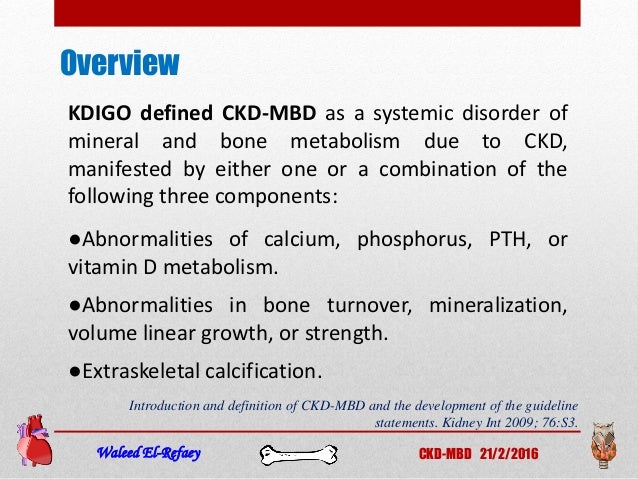 an overview of bone diseases Executive summary of the 2017 kdigo chronic kidney disease–mineral and bone disorder (ckd-mbd) guideline update: what's changed and why it matters. an overview of bone diseases Executive summary of the 2017 kdigo chronic kidney disease–mineral and bone disorder (ckd-mbd) guideline update: what's changed and why it matters.
