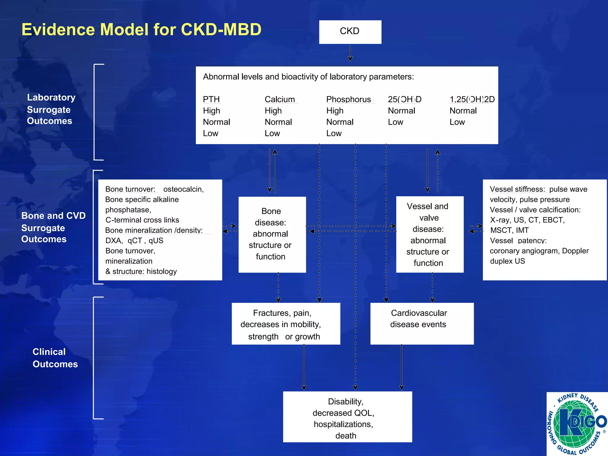 CKD 
Abnormal levels and bioactivity of laboratory parameters: 
PTH Calcium Phosphorus 25(OH)D 1,25(OH)2D 
High High High Normal Normal 
Normal Normal Normal Low Low 
Low Low Low 
Bone 
disease: 
abnormal 
structure or 
function 
Fractures, pain, 
decreases in mobility, 
strength or growth 
Cardiovascular 
disease events 
Disability, 
decreased QOL, 
hospitalizations, 
death 
Laboratory 
Surrogate 
Outcomes 
Bone and CVD 
Surrogate 
Outcomes 
Clinical 
Outcomes 
Vessel and 
valve 
disease: 
abnormal 
structure or 
function 
Bone turnover: osteocalcin, 
Bone specific alkaline 
phosphatase, 
C-terminal cross links 
Bone mineralization /density: 
DXA, qCT , qUS 
Bone turnover, 
mineralization 
& structure: histology 
Vessel stiffness: pulse wave 
velocity, pulse pressure 
Vessel / valve calcification: 
X-ray, US, CT, EBCT, 
MSCT, IMT 
Vessel patency: 
coronary angiogram, Doppler 
duplex US 
Evidence Model for CKD-MBD 
 