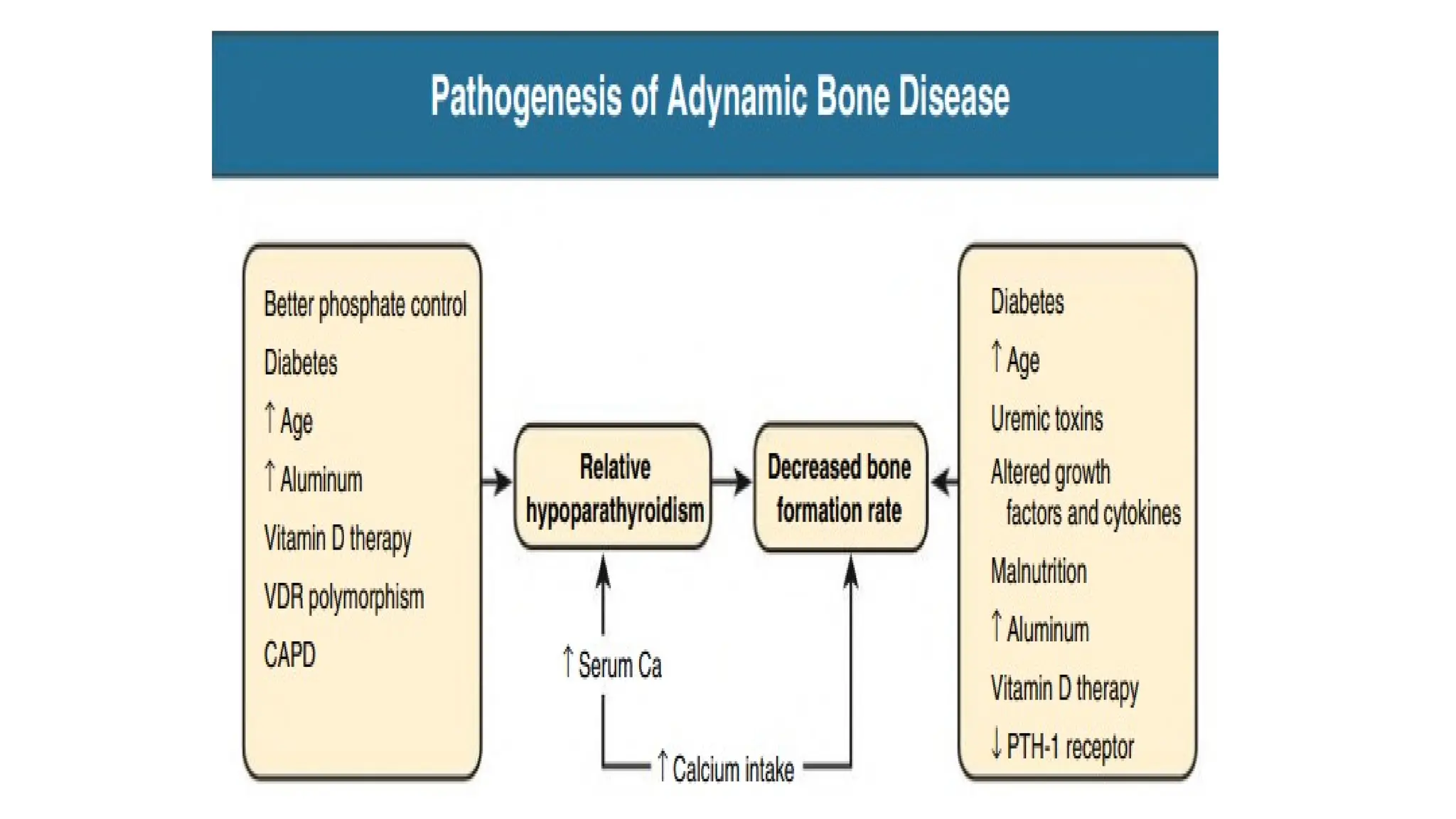 Chronic kidney disease - mineral bone disease | PPTX
