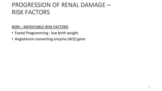 PROGRESSION OF RENAL DAMAGE –
RISK FACTORS
NON – MODIFIABLE RISK FACTORS
• Foetal Programming : low birth weight
• Angiotensin converting enzyme (ACE) gene
13
 