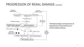 PROGRESSION OF RENAL DAMAGE (contd.)
Pathophysiologic consequences of
hypertension and proteinuria in
chronic kidney disease
15
 