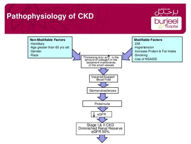 chf pathophysiology