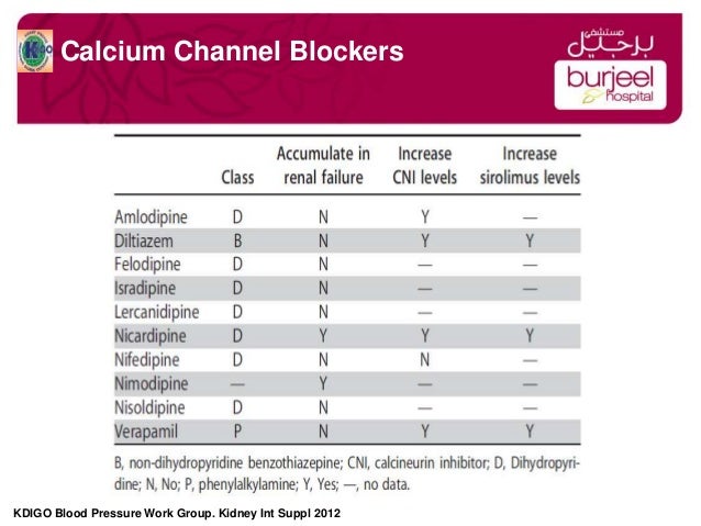 does calcium channel blockers affect renal function