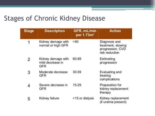 Stages of Chronic Kidney Disease
 