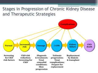 Stages in Progression of Chronic Kidney Disease
and Therapeutic Strategies
CKD
death
Complications
Screening
for CKD
risk factors
CKD risk
reduction;
Screening for
CKD
Diagnosis
& treatment;
Treat
comorbid
conditions;
Slow
progression
Estimate
progression;
Treat
complications;
Prepare for
replacement
Replacement
by dialysis
& transplant
Normal
Increased
risk
Kidney
failure
Damage  GFR
 