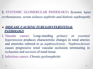 2. SYSTEMIC GLOMERULAR PATHOLOGY: Systemic lupus
erythematosus, serum sickness nephritis and diabetic nephropathy
DISEASE CAUSING TUBULOINTERSTITIAL
PATHOLOGY
1. Vascular causes: Long-standing primary or essential
hypertension produces characteristic changes in renal arteries
and arterioles referred to as nephrosclerosis . Nephrosclerosis
causes progressive renal vascular occlusion terminating in
ischaemia and necrosis of renal tissue.
2. Infectious causes: Chronic pyelonephritis
 