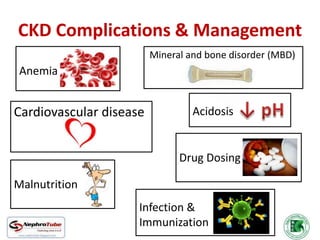 Chronic Kidney Disease (CKD) - At a Glance - Dr. Gawad | PPTX