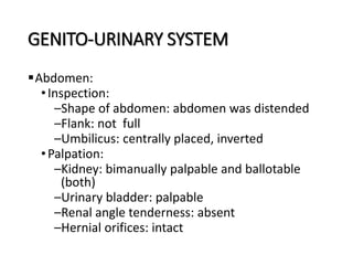 Bimanually Chronic Kidney Disease | PPTX