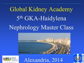Sheffield Kidney Institute
Global Kidney Academy
5th GKA-Haidylena
Nephrology Master Class
Alexandria, 2014
 