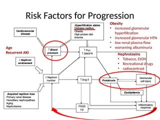 Risk Factors for Progression
Obesity
• increased glomerular
hyperfiltration
• increased glomerular HTN
• low renal plasma flow
• worsening albuminuria
Nephrotoxins
• Tobacco, EtOH
• Recreational drugs
• radiocontrast
Age
Recurrent AKI
 