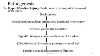 Pathogenesis
A. Hyperfiltration Injury: final common pathway of all causes of
renal injury
Nephron loss
Rest of nephron undergo structural & functional hypertrophy
Increased glomerular blood flow
Hyperfiltration preserves renal function for a while
Effect of elevated hydrostatic pressure on vessel wall
Toxicity due to increased protein filtration
Dr GRK CHRI 14
 
