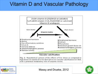 Vitamin D and Vascular Pathology
Massy and Drueke, 2012
 