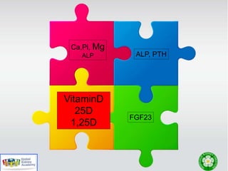 Ca,Pi, Mg
ALP ALP, PTH
VitaminD
25D
1,25D
FGF23
 