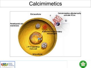 Calcimimetics
 