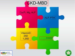Ca,Pi, Mg, ALP
ALP, PTH
VitaminD
25D
1,25D ……..?????
CKD-MBD
 
