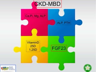 Ca,Pi, Mg, ALP
ALP, PTH
VitaminD
25D
1,25D FGF23
CKD-MBD
 