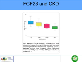 FGF23 and CKD
havebeen found to predict mortality not only among di-
alysispatientsbut amongpredialysisCKD patientsaswell
[22].
tial to facilitate thebinding of FG
The potential role of soluble Klo
in vivo remainsunknown at this
Fig. 2. Plasma FGF23 levels in thefour CKD stage groups. Boxes
represent the interquartile range with the upper and lower edges
representing the75th and 25th percentiles, respectively. Thereisa
statistically significant linear increase in plasma FGF23 levels
acrossthefour CKD groupsdivided by eGFR[reprinted with per-
mission from 21].
Fig. 3. Klotho family showing theth
themammalian genome. Homologo
mainsareconserved. Solubleformso
byalternativesplicingof itstranscrip
of thetransmembraneformbyβ-secr
Colorversionavailableonline
 
