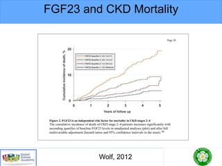 FGF23 and CKD Mortality
Figure 2. FGF23 is an independent risk factor for mortality in CKD stages 2–4
The cumulative incidence of death of CKD stage 2–4 patients increases significantly with
ascending quartiles of baseline FGF23 levels in unadjusted analyses (plot) and after full
multivariable adjustment (hazard ratios and 95% confidence intervals in the inset). 86
Wolf Page 20
$watermark-text$watermark-tex
Wolf, 2012
 