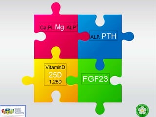 Ca,Pi, Mg, ALP
ALP, PTH
VitaminD
25D
1,25D FGF23
 