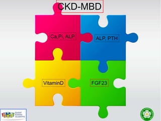 Ca,Pi, ALP ALP, PTH
VitaminD FGF23
CKD-MBD
 