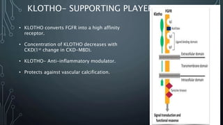 KLOTHO- SUPPORTING PLAYER
• KLOTHO converts FGFR into a high affinity
receptor.
• Concentration of KLOTHO decreases with
CKD(1st change in CKD-MBD).
• KLOTHO- Anti-inflammatory modulator.
• Protects against vascular calcification.
 