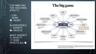 CKD MBD HAS
FAR-REACHING
EFFECTS
🧠:CNS
🧠:BONE
❤️: HEART
🧠:
BLOODVESSELS
🧠: KIDNEYS
💪: MUSCLE
WHAT DOESN’T
IT AFFECT?
IT DOES
EFFECTS ALL 🔴
 