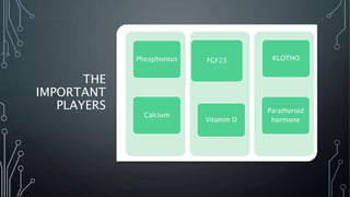 THE
IMPORTANT
PLAYERS
i
Phosphorous
Calcium
l
FGF23
Vitamin D
i
KLOTHO
Parathyroid
hormone
 